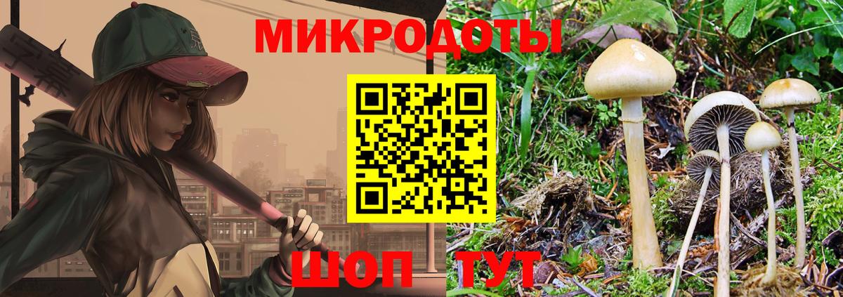 наркотики  Вход с VPN  Жуковский  Псилоцибиновые грибы мицелий 